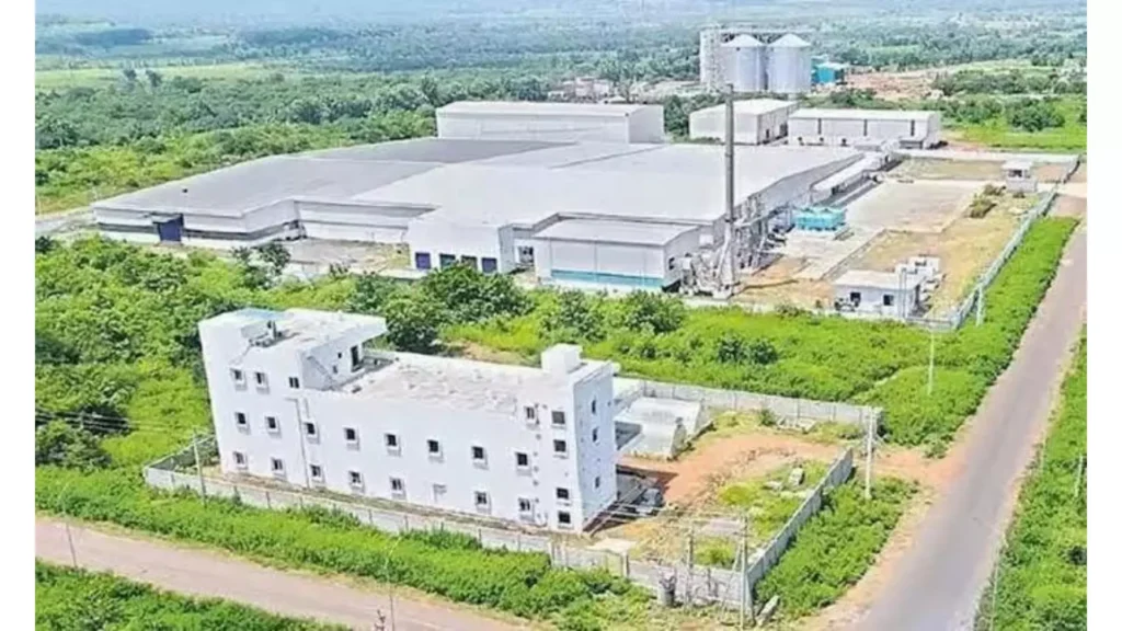 THE NATION PULSE